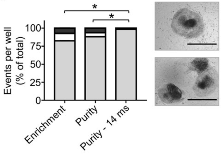 Pluripotent iPSC Cluster Sorting
